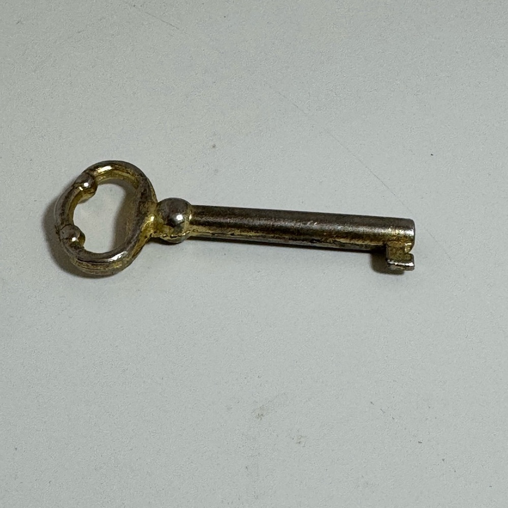 Vintage Gold Skeleton Key‎